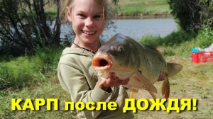 Рыбалка на КАРПА! Гроза нам не помешала! #сезонконтентаRUTUBE