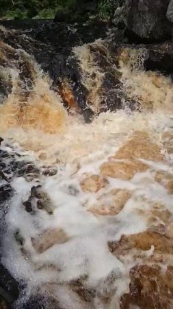 Карелия. Питкяранта. Водопад Нижний Койриноя. Karelia. Pitkyaranta. Lower Koirinoya Waterfall (2)