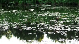 Про грусть.mp4