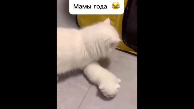 Мамы года