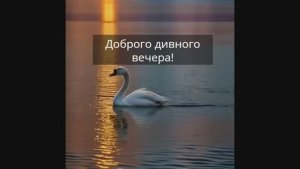 Доброго дивного вечера! Наполненного пленительным трепетным очарованием!