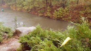 Прогулка под дождем для крепкого сна