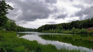 Выпуск мальков волжской стерляди в реку в Самаре