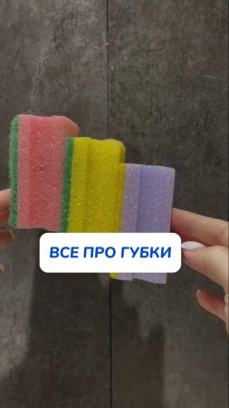 Все,что надо знать про губки