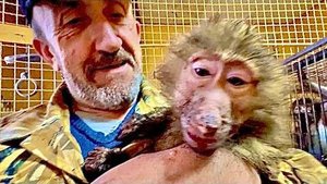 Маня такая:-А что я, что я? Я просто Люське помогала копать,может там вкусняшки были закопаны?!