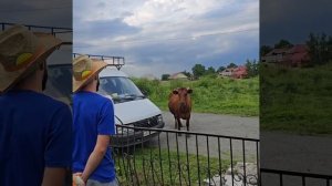 Мужик, ты чиво? Подбрось до города.