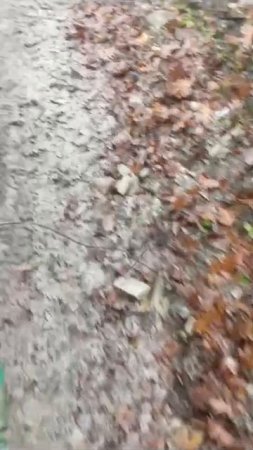 1000014425.mp4
