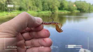 Маленькая приманка для большой пасти