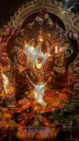 Narsimha Dev and Radha Madhava #mayapur #shorts