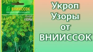 Самый пушистый укроп.