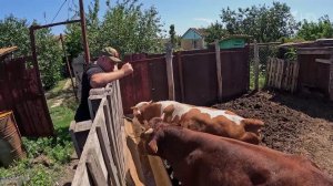 Фонд "Защитники Отечества" помогает вернуться к мирной жизни ветеранам спецоперации