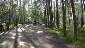 Вело прогулка по ЭКОПАРКУ. Велодорожка. Комсомольский проспект.