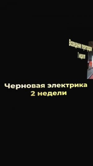 Почему так долго идет ремонт?