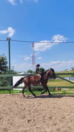 Соня и Аквилон, галоп без седла на плацу.