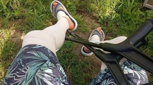 первые помидорыв нашей теплице