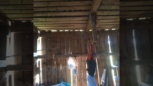 fitline помогает в спорте