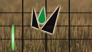 О заводе "Мельинвест"