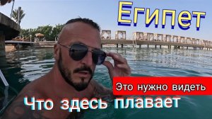Египет 2025 🇪🇬 У МЕНЯ ШОК SUNRISE Aqua Joy Resort 4* УЖИН и ШОУ, ВЕЧЕРНЕЕ МОРЕ в ХУРГАДЕ