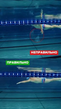 Проверьте, нет ли у вас такой ошибки в кроле☝🏼