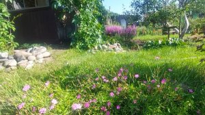 Дача на озере Тагарское. Минусинск. Красноярский край