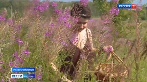 Эфир от 18.07.2025 (09:30)