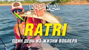 Обзор LureMax Ratri или один день из жизни воблера на Нижней Волге