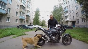 Выхлоп