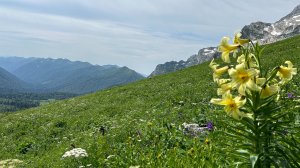 Трек вокруг Оштена