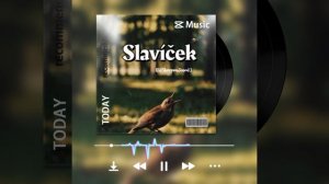 Slavíček  (DJ SkorpionJasod ) #музыка #песня #любовь #джасод #topc