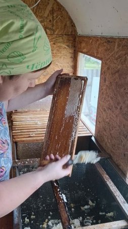 17 июля. Приступили к откачки мёда.