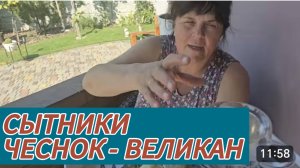 САМВЕЛ АДАМЯН, СЫТНИКИ, ЧЕСНОК УДАЛСЯ, СВЕТЛАНА В ШОКЕ..