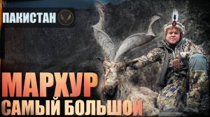 КАШМИРСКИЙ МАРХУР | ПАКИСТАН | ГОРНАЯ ОХОТА | KASHEMIR MARCHOR