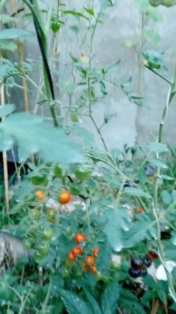 пусть не идеально, за то вкусно