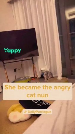 253.mp4