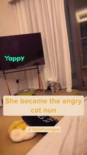 253.mp4