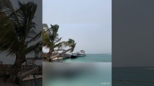 Voco Monaco , по пятницам вечеринки