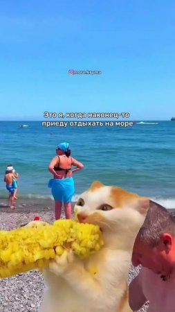 Наконец-то море