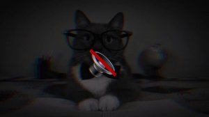 Котинет Эдит #2