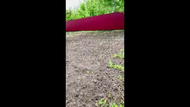 My_Video