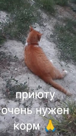 +7985 193 0027 сбер элплат