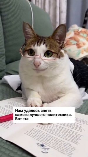 Ты, именно ты, самый лучший! ❤️