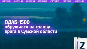 ОДАБ-1500 разнесли логово ВСУ — работа десантников в Сумской области