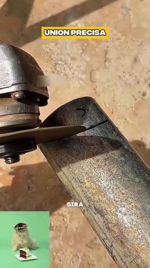 Cut Circular 06