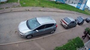 🐱Девушка опоздала на работу, потому что её преследовал котёнок🐱
