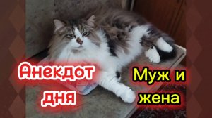 Анекдот дня. Муж и жена.