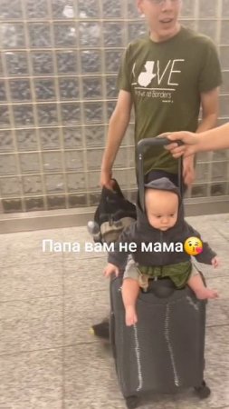 Животные приколы и не только