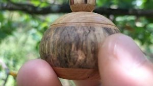 Шкатулка в июльском лесу на дубовом листике