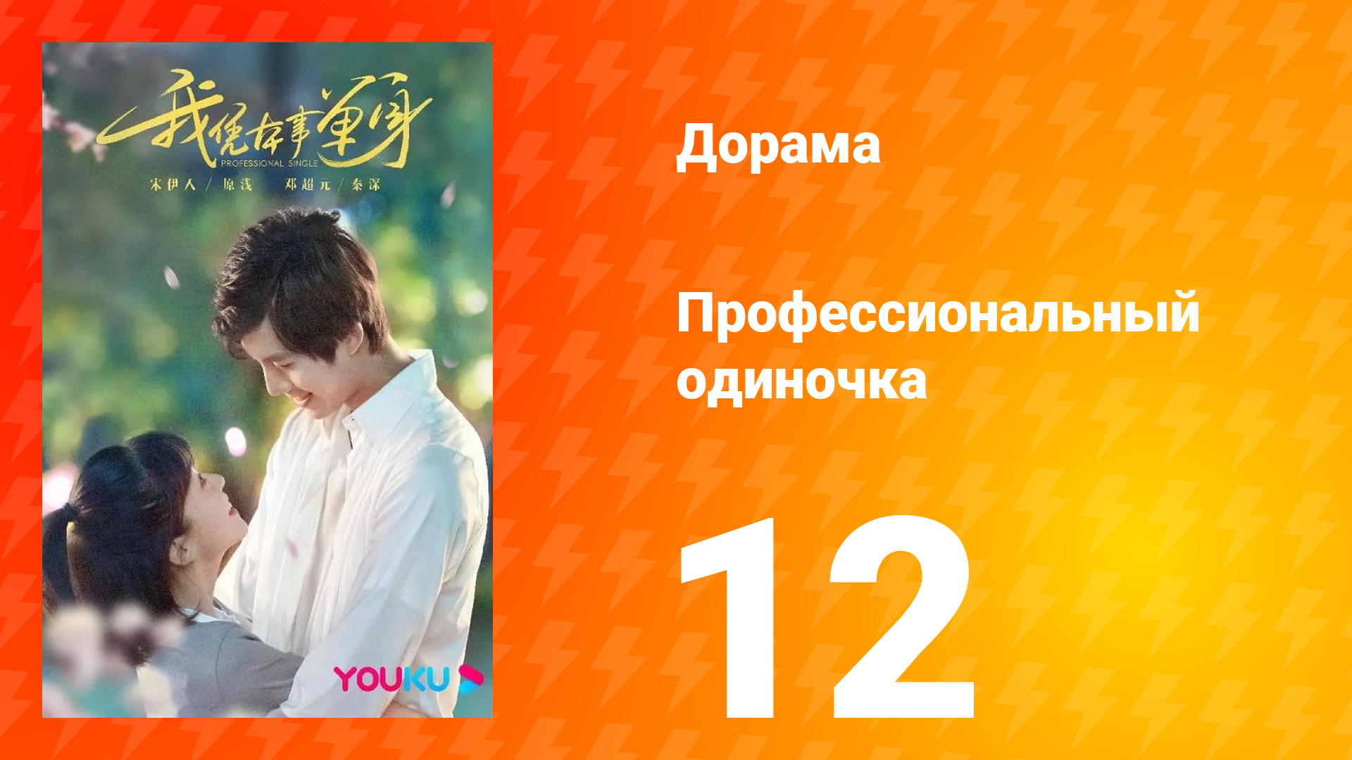 Профессиональный одиночка 1 сезон 12 серия