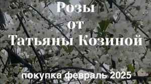 Розы от Татьяны Козиной