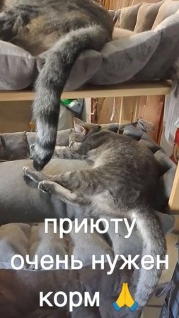 +7985 193 0027 сбер элплат